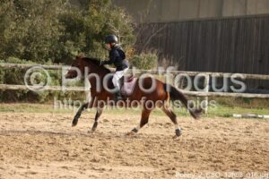 Poney_2_CSO_12h02_016.jpg