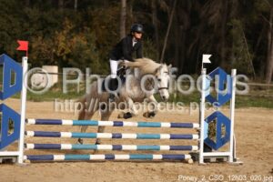 Poney_2_CSO_12h03_020.jpg