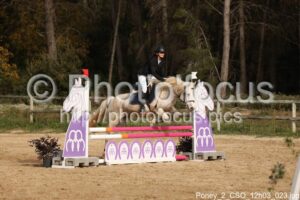 Poney_2_CSO_12h03_023.jpg