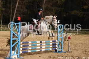 Poney_2_CSO_12h07_045.jpg