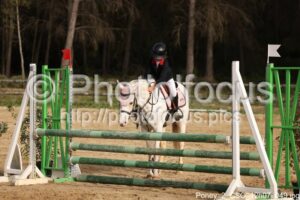 Poney_2_CSO_12h07_049.jpg