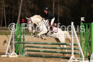 Poney_2_CSO_12h07_050.jpg
