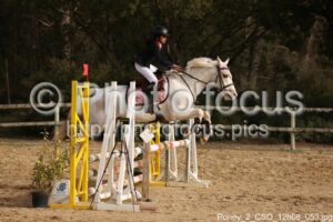 Poney_2_CSO_12h08_053.jpg