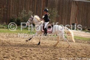 Poney_2_CSO_12h08_057.jpg