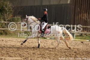Poney_2_CSO_12h08_058.jpg