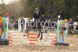 Poney_2_CSO_12h09_062.jpg