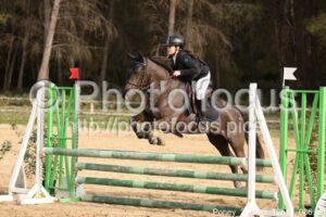 Poney_2_CSO_12h10_066.jpg