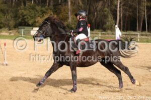 Poney_2_CSO_12h12_078.jpg