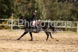 Poney_2_CSO_12h12_085.jpg
