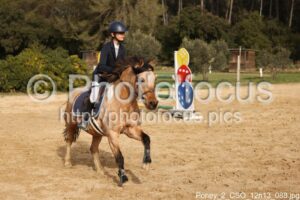 Poney_2_CSO_12h13_088.jpg