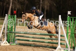 Poney_2_CSO_12h14_093.jpg
