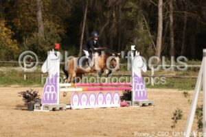 Poney_2_CSO_12h14_094.jpg