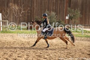 Poney_2_CSO_12h15_099.jpg