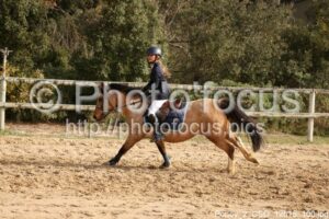 Poney_2_CSO_12h15_100.jpg