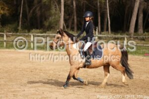 Poney_2_CSO_12h15_101.jpg