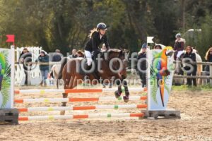 Poney_2_CSO_12h15_102.jpg