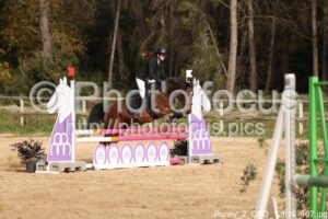 Poney_2_CSO_12h16_107.jpg