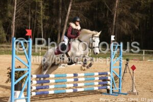 Poney_2_CSO_12h18_121.jpg