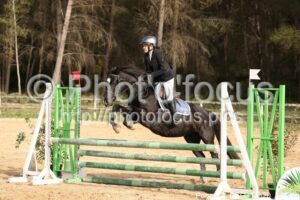 Poney_2_CSO_12h20_134.jpg