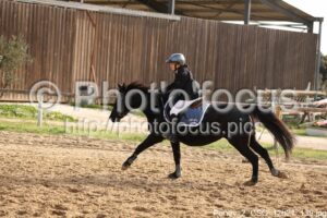 Poney_2_CSO_12h21_139.jpg