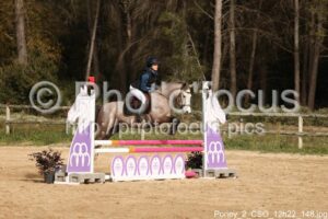 Poney_2_CSO_12h22_148.jpg