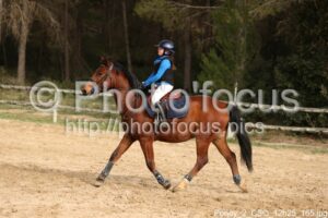 Poney_2_CSO_12h25_165.jpg