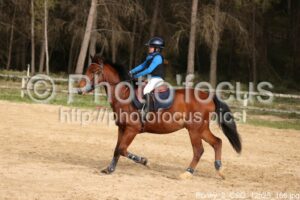 Poney_2_CSO_12h25_166.jpg