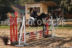 Poney_3_CSO_09h58_011.jpg