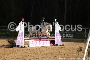 Poney_3_CSO_10h03_040.jpg