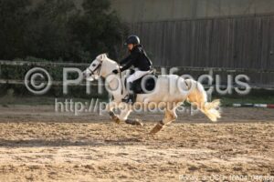 Poney_3_CSO_10h04_046.jpg