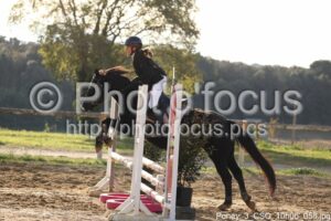 Poney_3_CSO_10h06_058.jpg