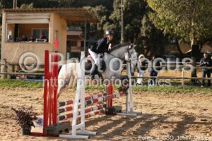 Poney_3_CSO_10h07_063.jpg