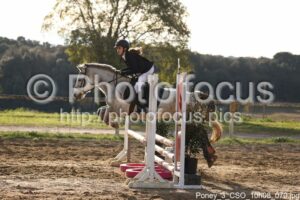 Poney_3_CSO_10h08_070.jpg
