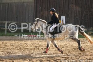 Poney_3_CSO_10h08_071.jpg