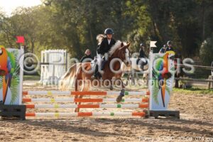 Poney_3_CSO_10h09_074.jpg