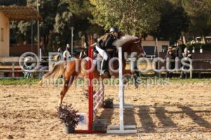 Poney_3_CSO_10h09_075.jpg