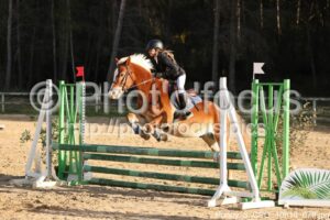 Poney_3_CSO_10h10_078.jpg