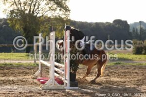 Poney_3_CSO_10h11_083.jpg
