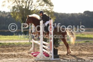 Poney_3_CSO_10h11_084.jpg