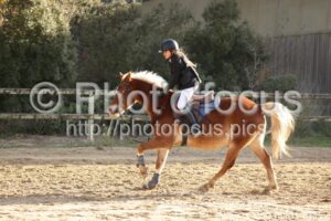Poney_3_CSO_10h11_085.jpg