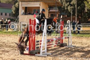 Poney_3_CSO_10h12_089.jpg