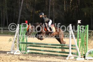 Poney_3_CSO_10h13_092.jpg