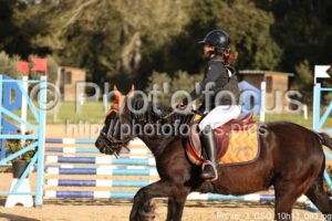 Poney_3_CSO_10h13_093.jpg