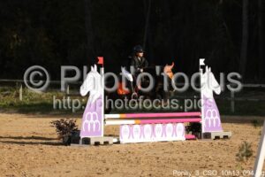 Poney_3_CSO_10h13_094.jpg