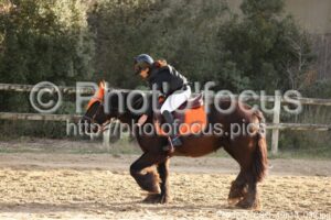 Poney_3_CSO_10h13_099.jpg