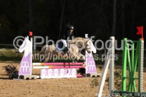 Poney_3_CSO_10h18_118.jpg
