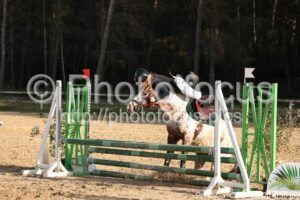 Poney_3_CSO_10h20_130.jpg
