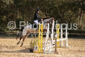 Poney_3_CSO_10h21_137.jpg