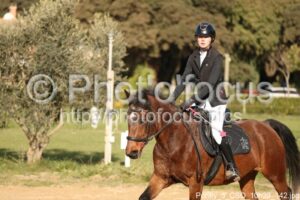 Poney_3_CSO_10h23_142.jpg