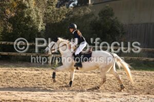 Poney_3_CSO_10h27_162.jpg